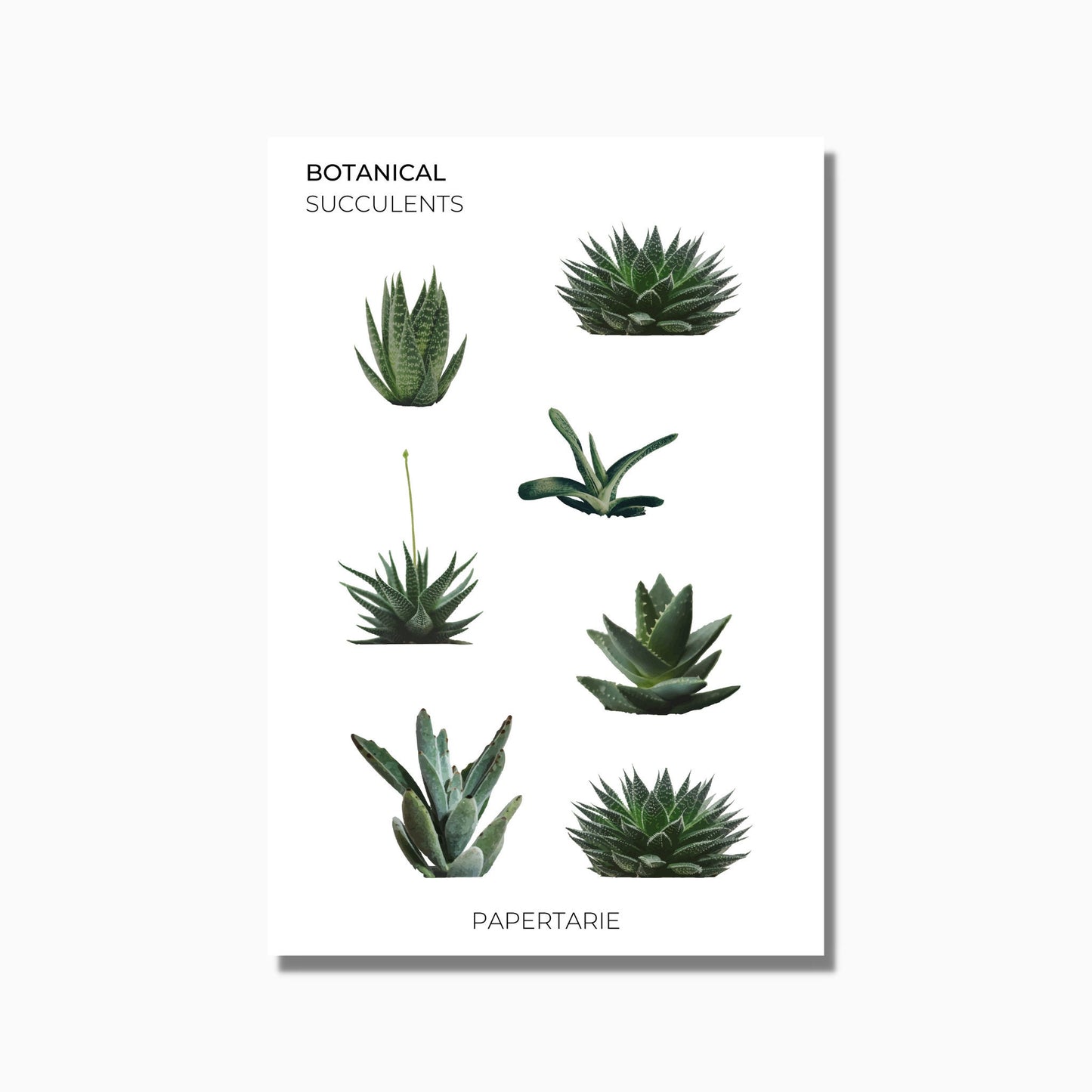 Botanical Stickers