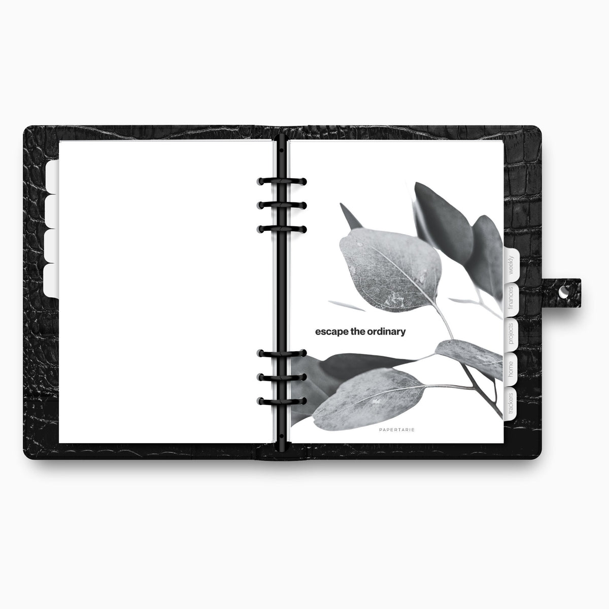 Printed | Planner Dashboard | Escape the Ordinary | A5, A6, Personal, Pocket | Minimal | Premium