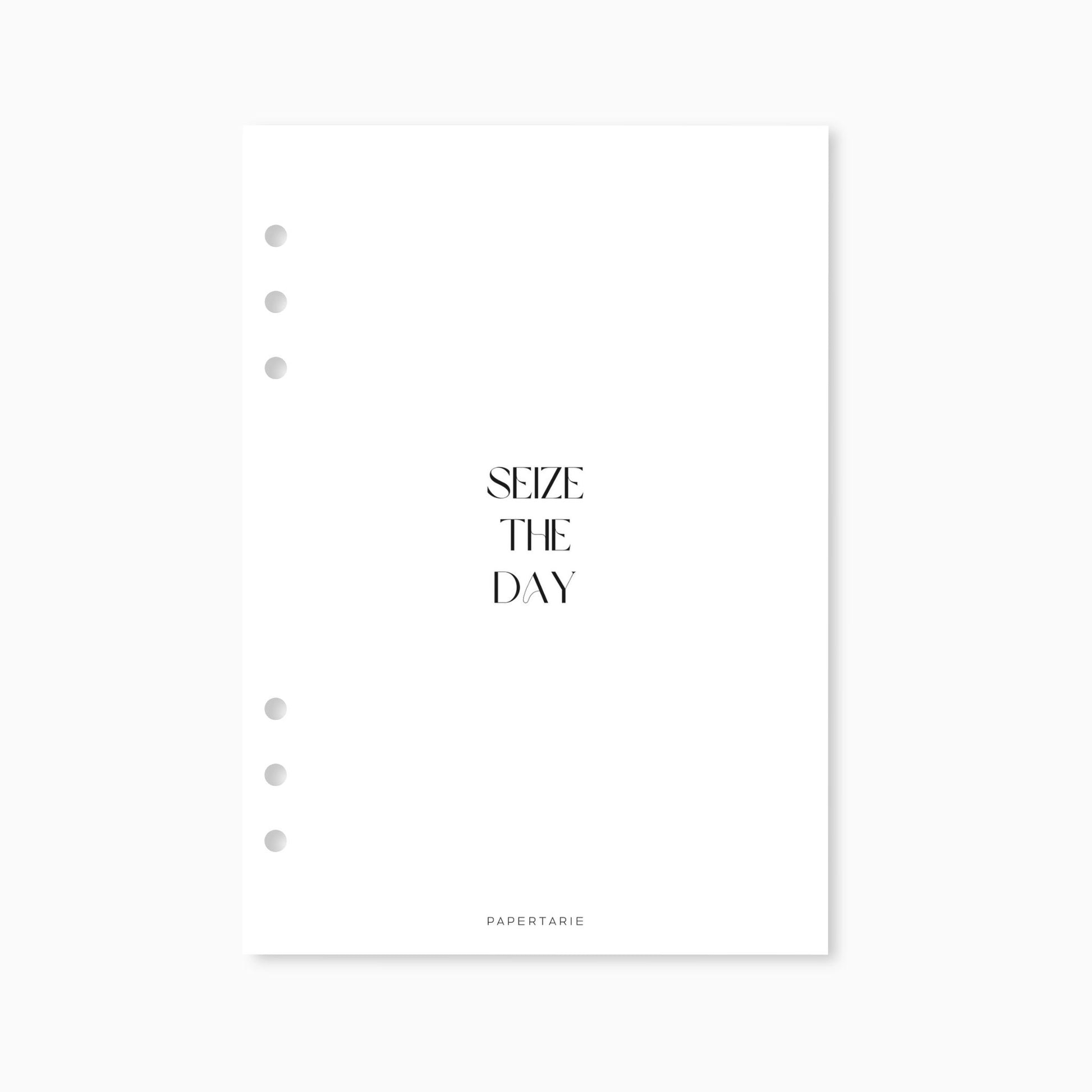 Printed | Planner Dashboard | Seize The Day | A5, A6, Personal, Pocket | Minimal | Premium