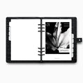 Printed | 12 Planner Dashboards | Lily Monthly Set | 2026 | A5, A6, Personal | Minimal | Premium Card Stock