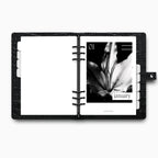 Printed | 12 Planner Dashboards | Lily Monthly Set | 2026 | A5, A6, Personal | Minimal | Premium Card Stock