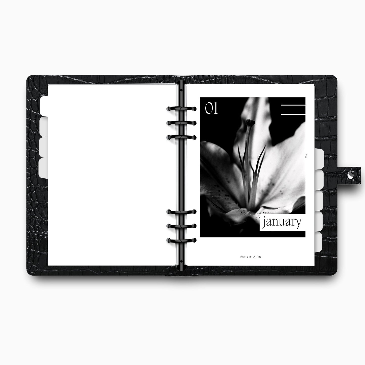 Printed | 12 Planner Dashboards | Lily Monthly Set | 2026 | A5, A6, Personal | Minimal | Premium Card Stock