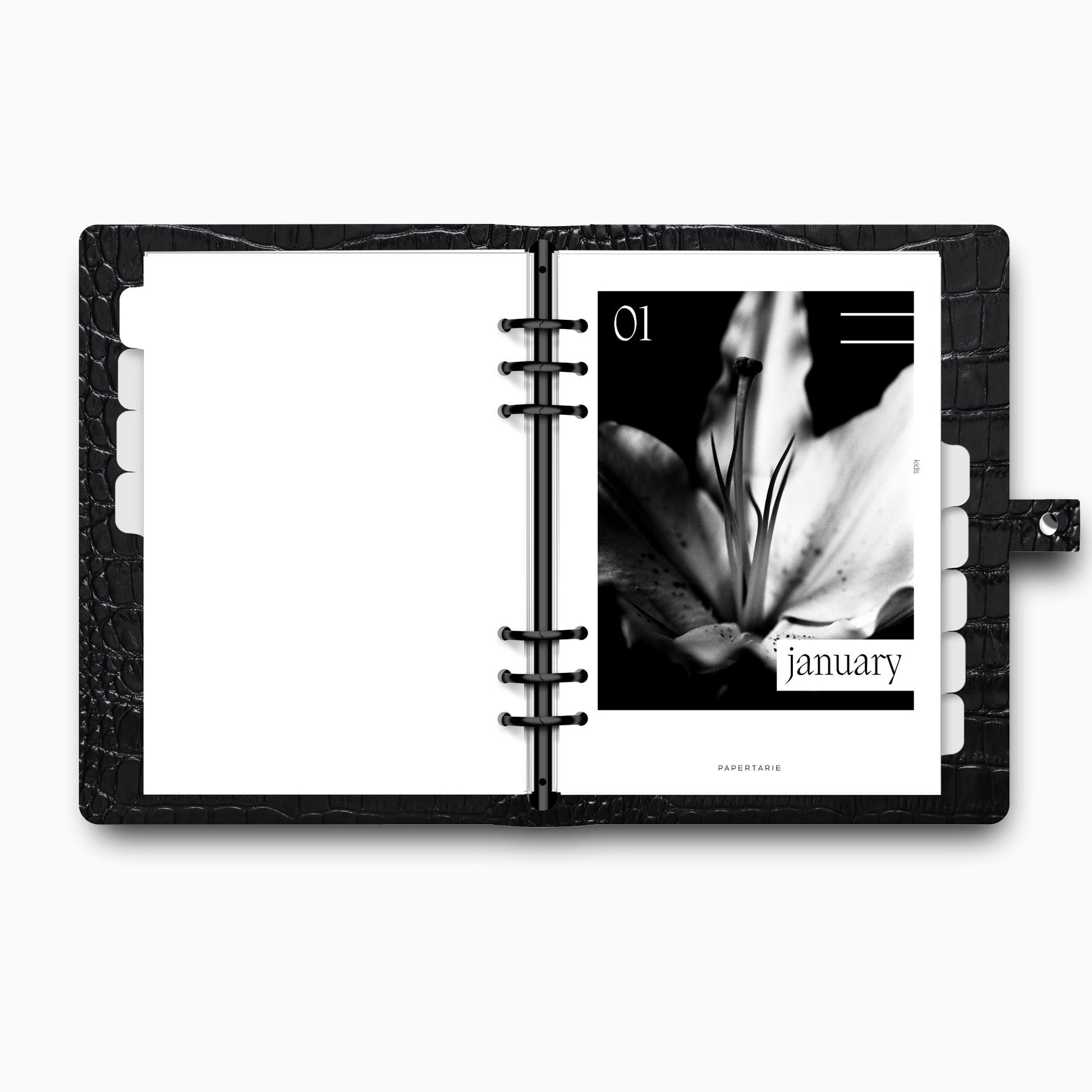 Printed | 12 Planner Dashboards | Lily Monthly Set | 2026 | A5, A6, Personal | Minimal | Premium Card Stock