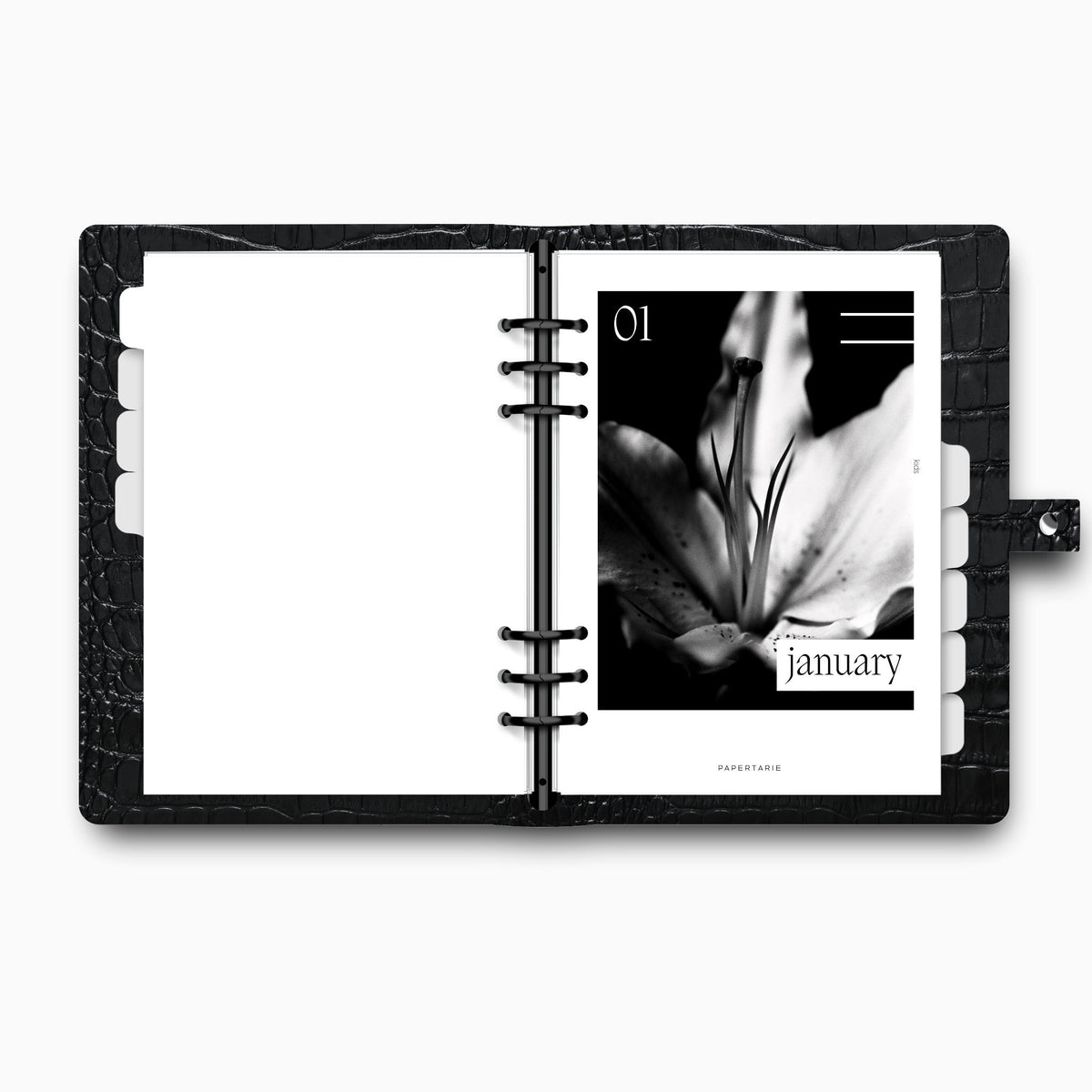Printed | 12 Planner Dashboards | Lily Monthly Set | 2026 | A5, A6, Personal | Minimal | Premium Card Stock