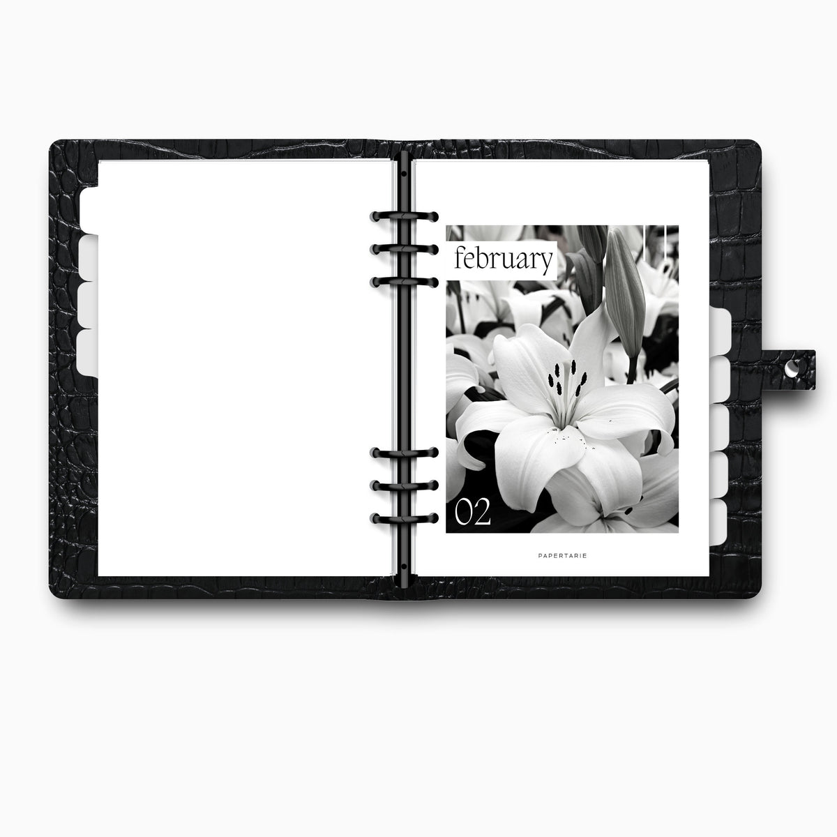 Printed | 12 Planner Dashboards | Lily Monthly Set | 2026 | A5, A6, Personal | Minimal | Premium Card Stock