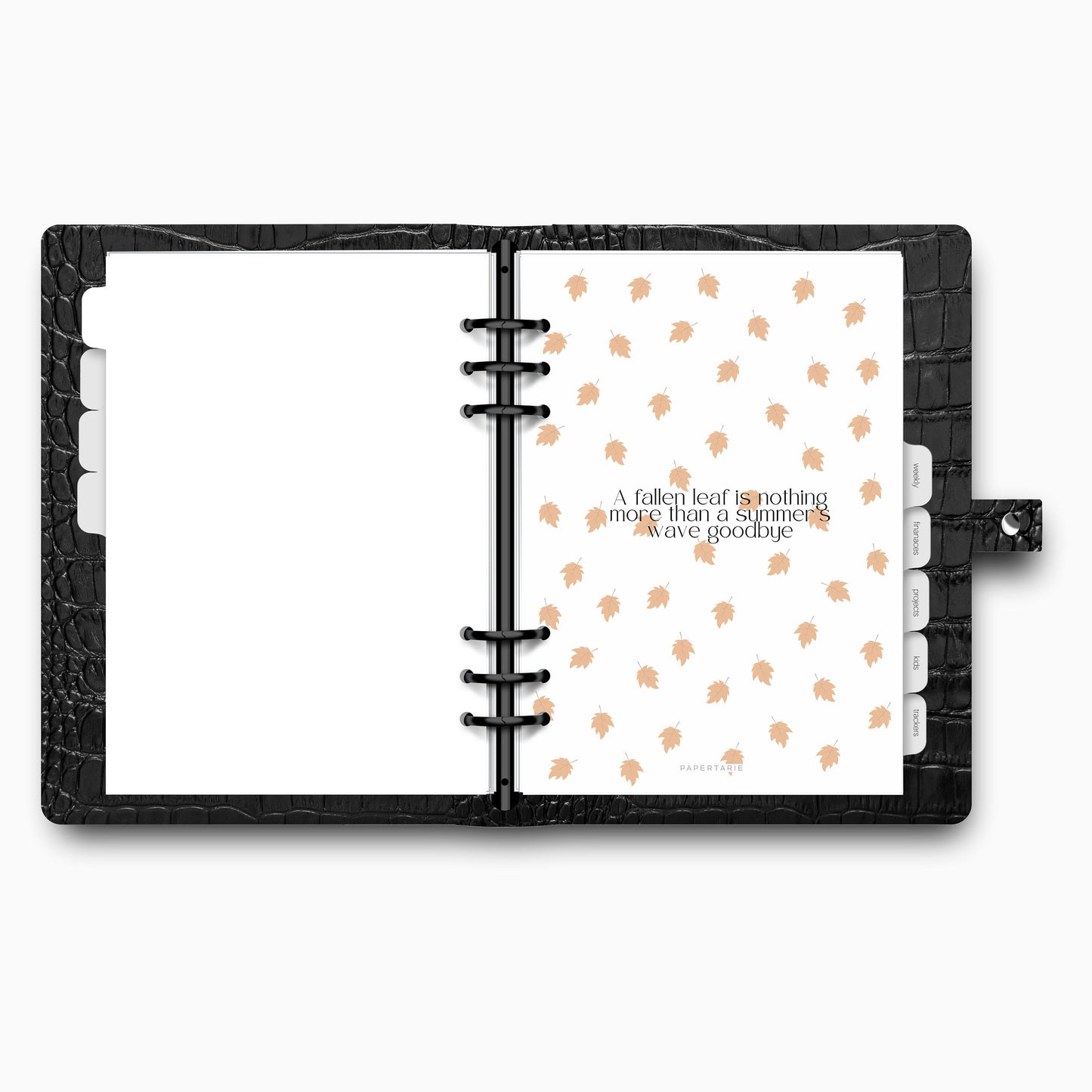 Printed | Planner Dashboard | Autumn Duo | Fallen Leaves and Vellum Pair | A5, A6, Personal | Minimal | Aesthetic