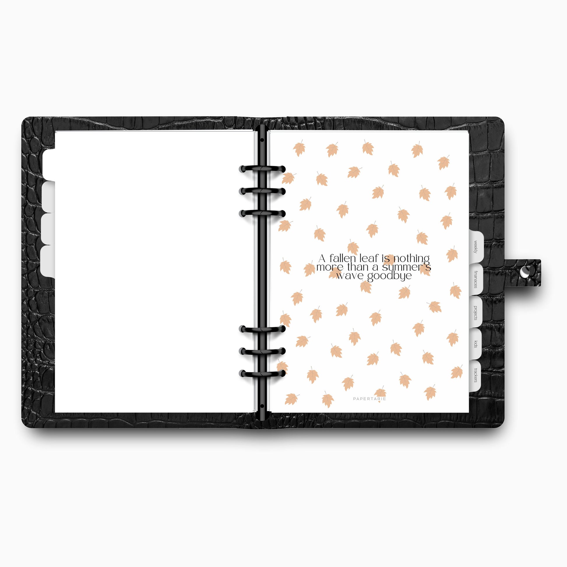 Printed | Planner Dashboard | Autumn Duo | Fallen Leaves and Vellum Pair | A5, A6, Personal | Minimal | Aesthetic