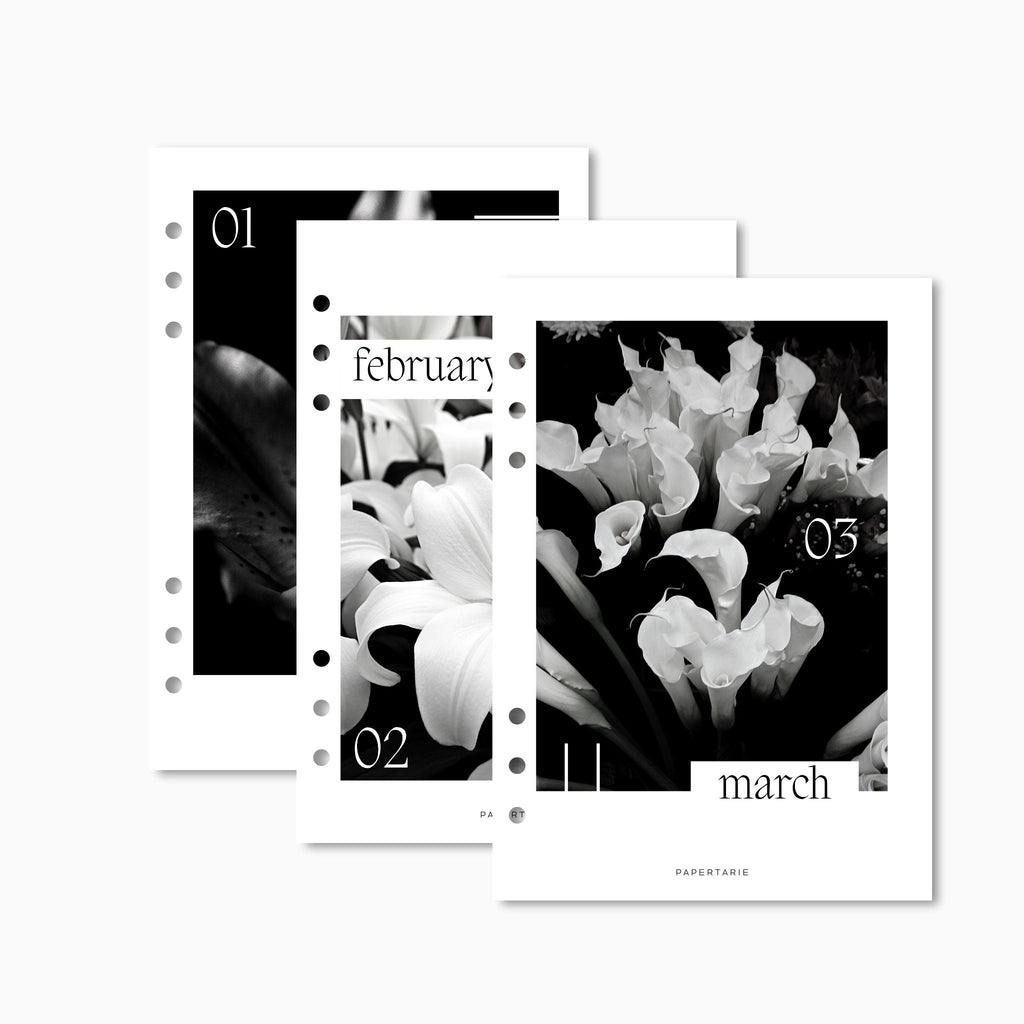 Printed | 12 Planner Dashboards | Lily Monthly Set | 2026 | A5, A6, Personal | Minimal | Premium Card Stock