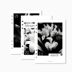 Printed | 12 Planner Dashboards | Lily Monthly Set | 2026 | A5, A6, Personal | Minimal | Premium Card Stock