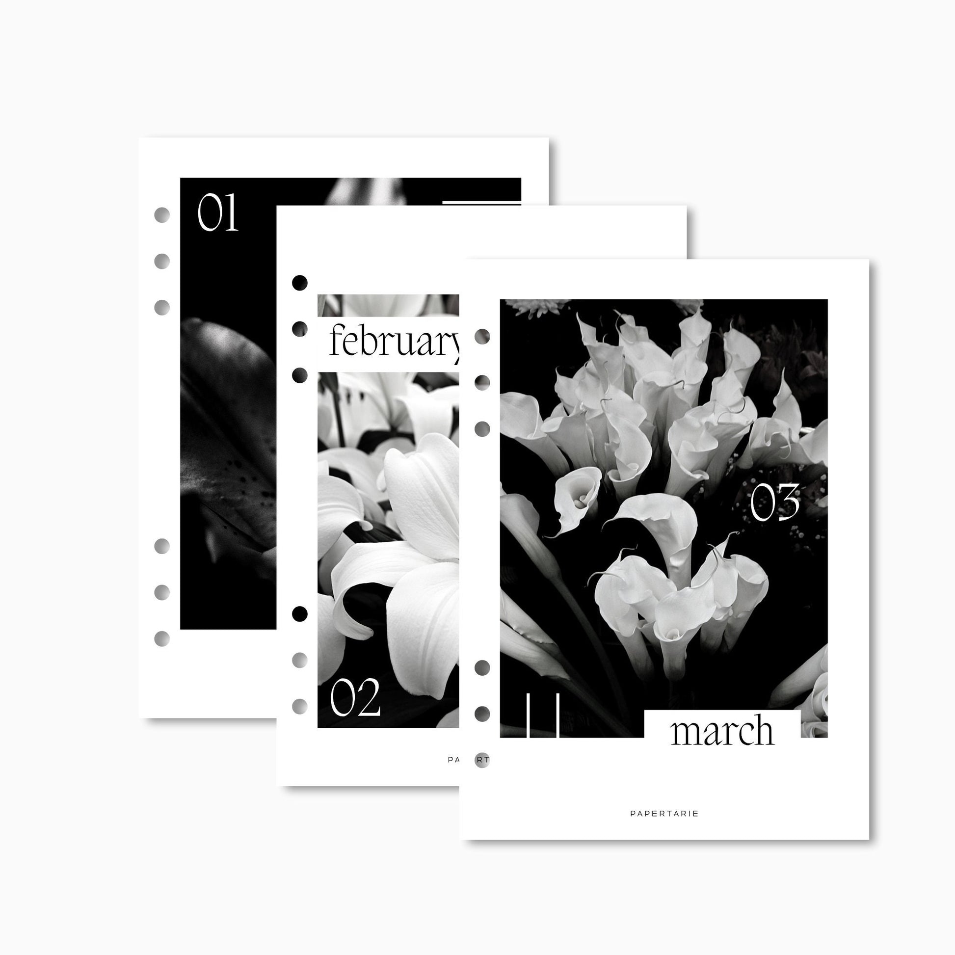 Printed | 12 Planner Dashboards | Lily Monthly Set | 2026 | A5, A6, Personal | Minimal | Premium Card Stock