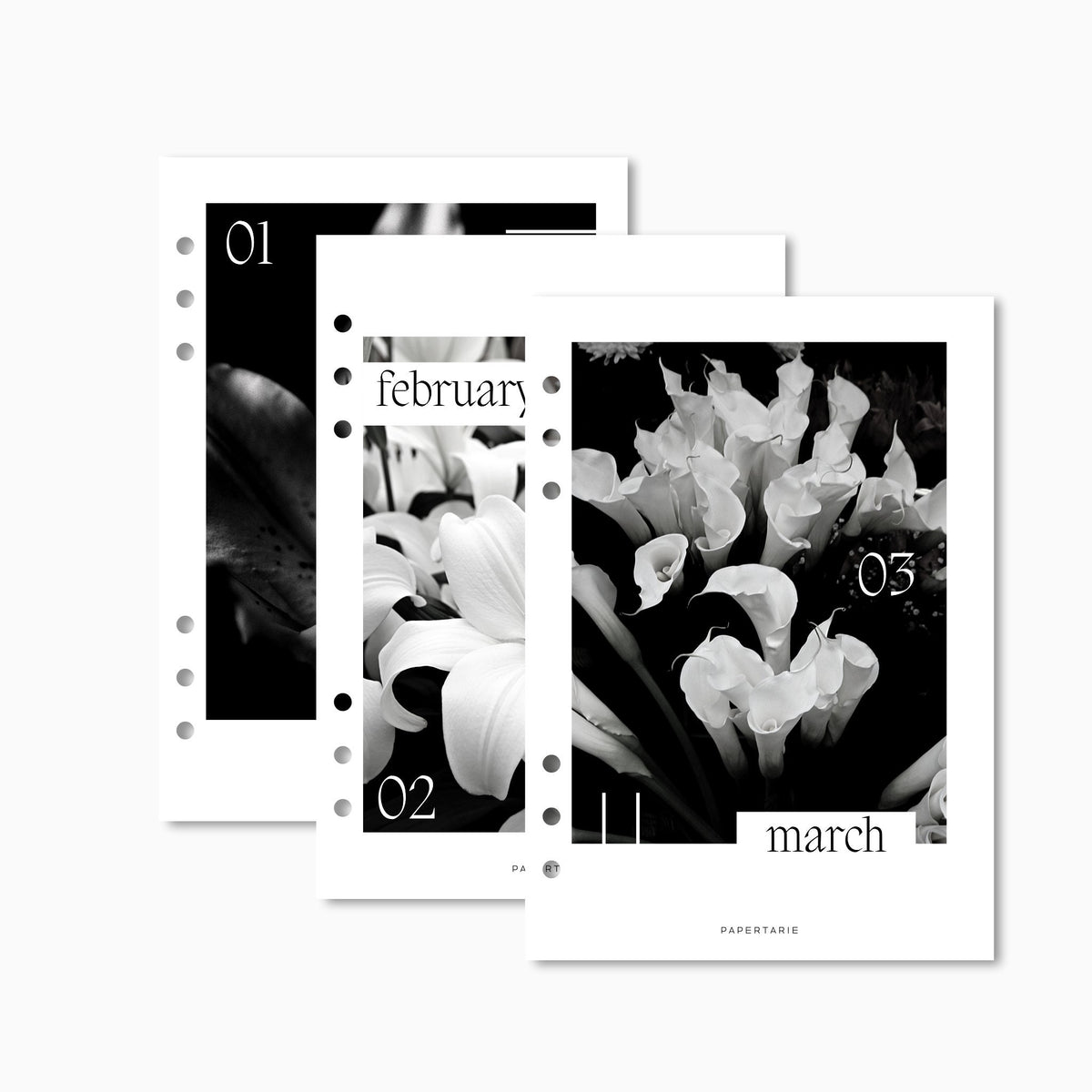 Printed | 12 Planner Dashboards | Lily Monthly Set | 2026 | A5, A6, Personal | Minimal | Premium Card Stock
