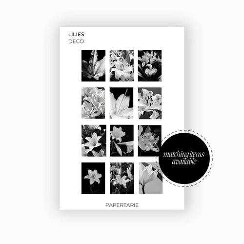 Deco Planner Stickers | Lilies | Standard Sheet | Transparent | Matte | Glossy | Botanical Planner Stickers | Matching Dashboard