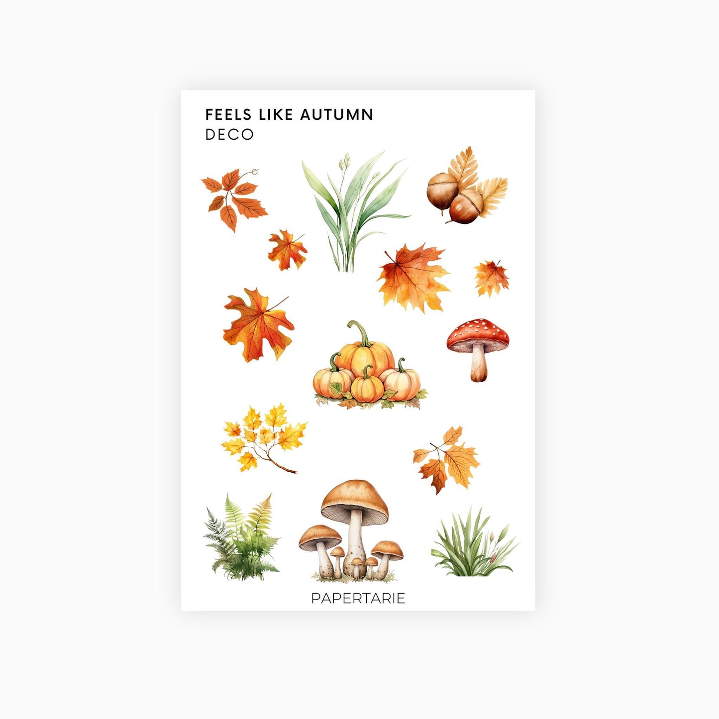 Deco Planner Stickers | Feels Like Autumn | Standard Sheet | Transparent | Matte | Glossy | Botanical Planner Stickers | Florals