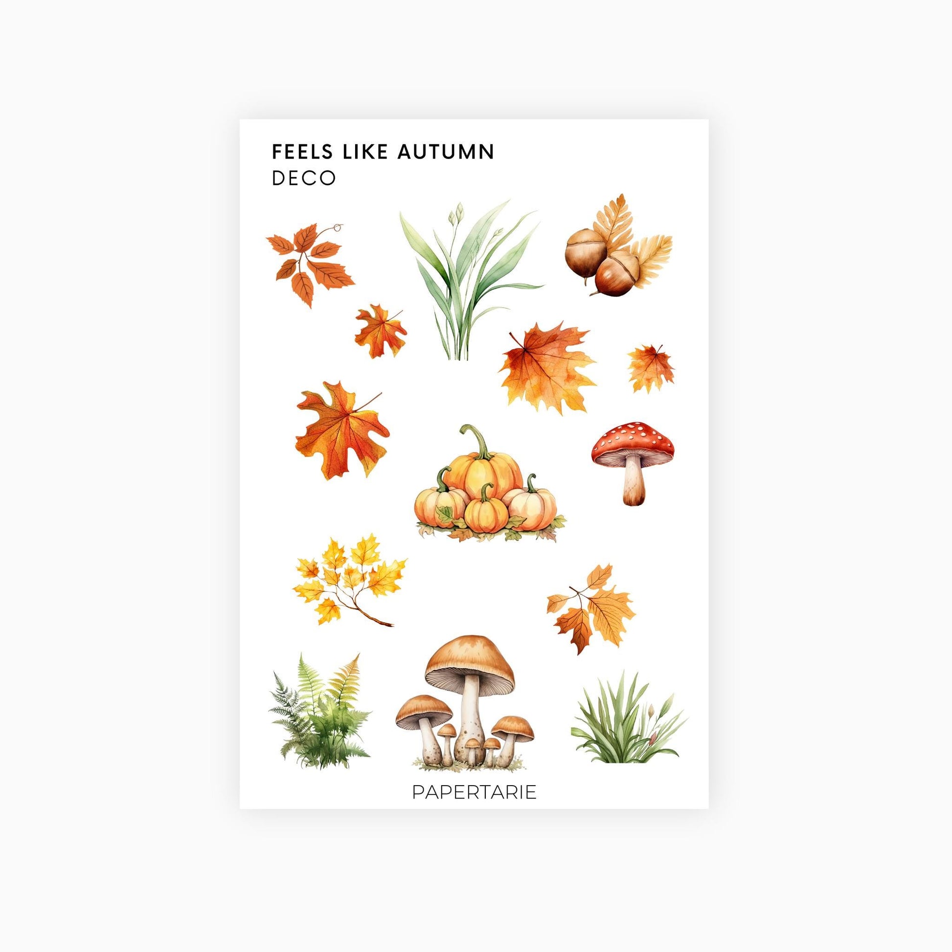 Deco Planner Stickers | Feels Like Autumn | Standard Sheet | Transparent | Matte | Glossy | Botanical Planner Stickers | Florals