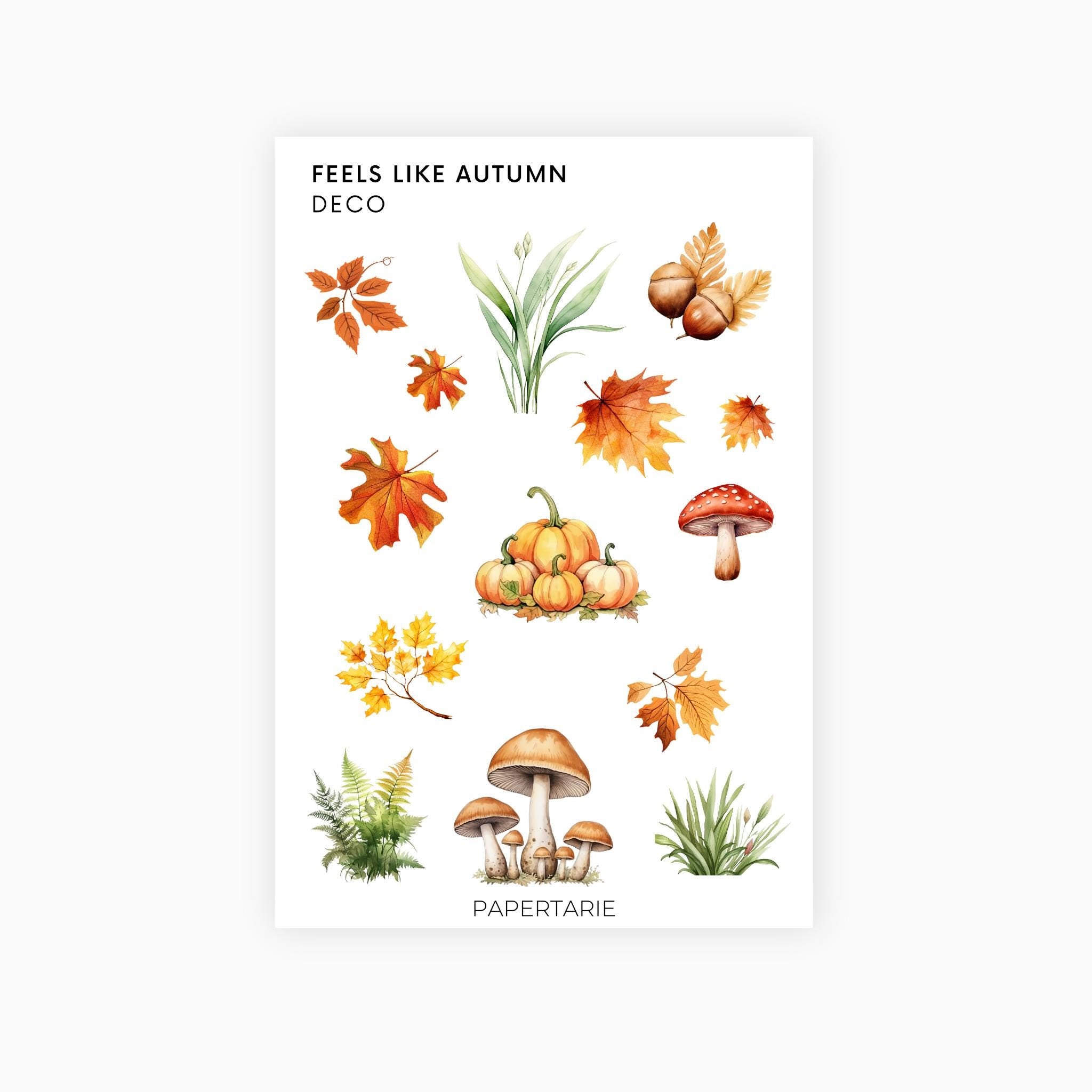 Deco Planner Stickers | Feels Like Autumn | Standard Sheet | Transparent | Matte | Glossy | Botanical Planner Stickers | Florals