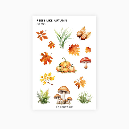 Deco Planner Stickers | Feels Like Autumn | Standard Sheet | Transparent | Matte | Glossy | Botanical Planner Stickers | Florals