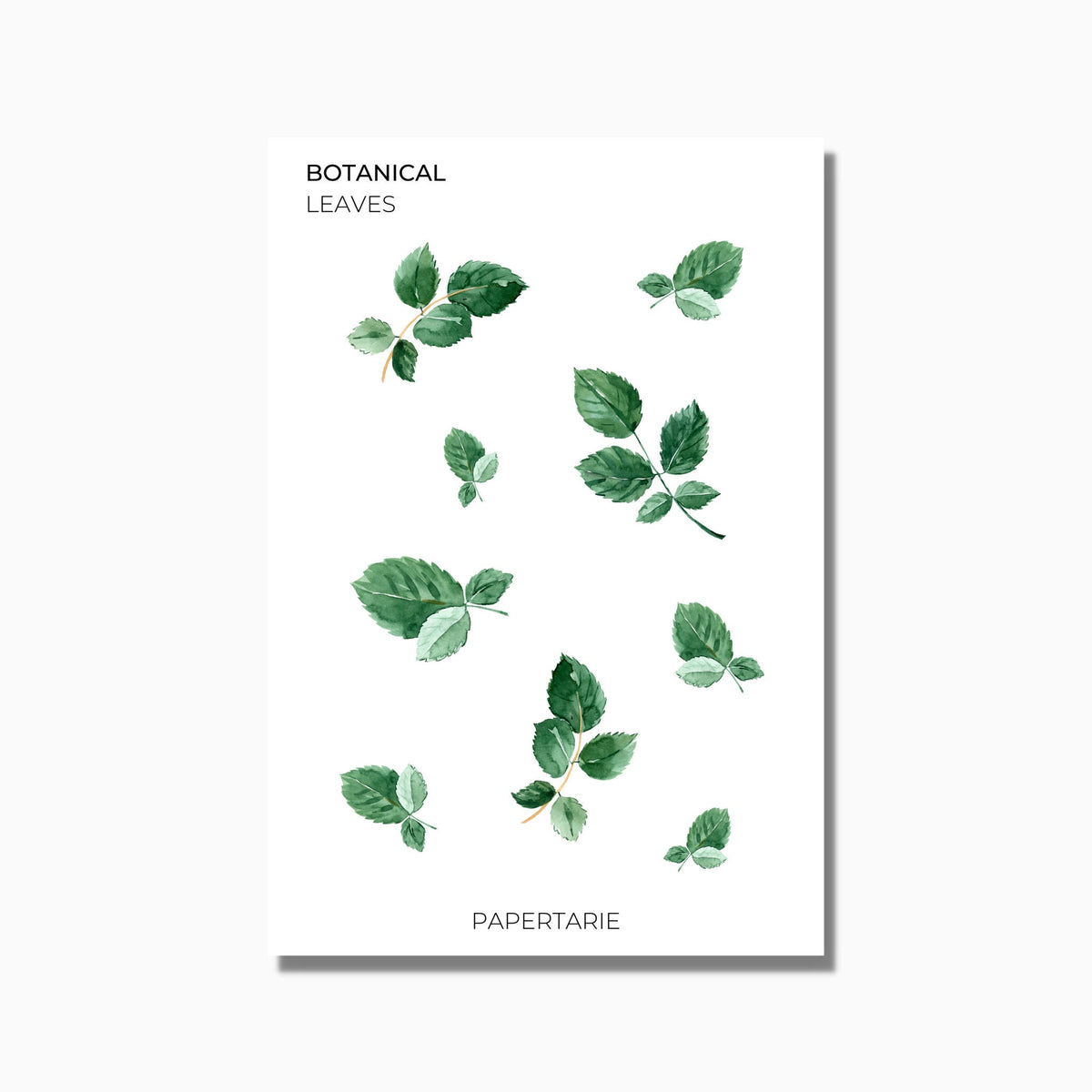 Botanical Stickers