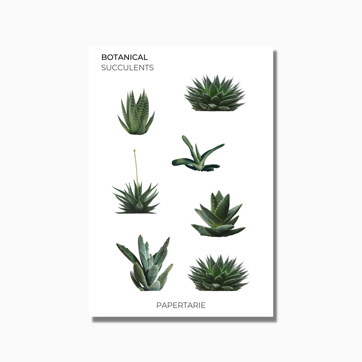 Botanical Stickers