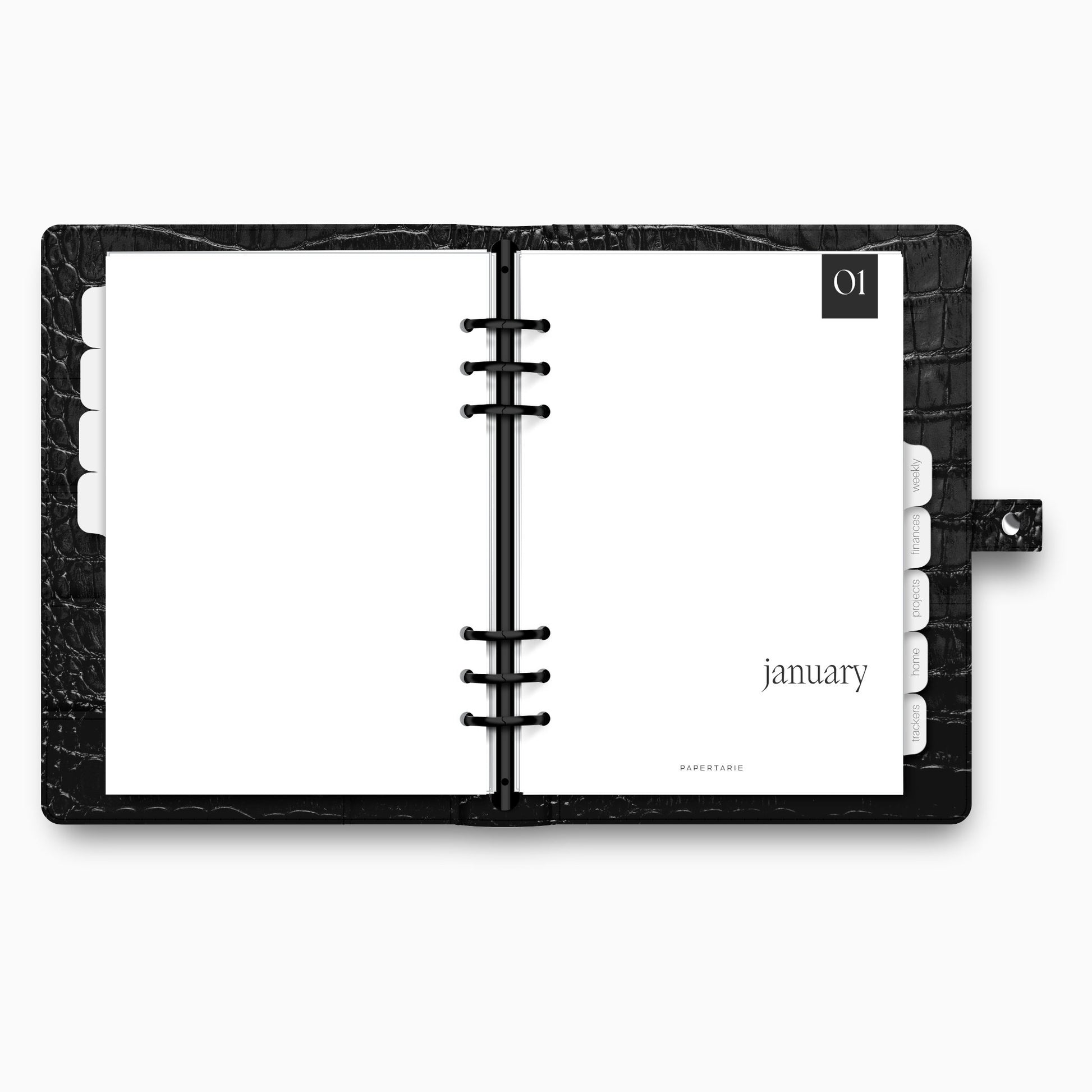 Printed | 12 Planner Dashboards | Block Monthly Set | 2024 | A5, A6, Personal, Pocket | Minimal | Premium Card Stock