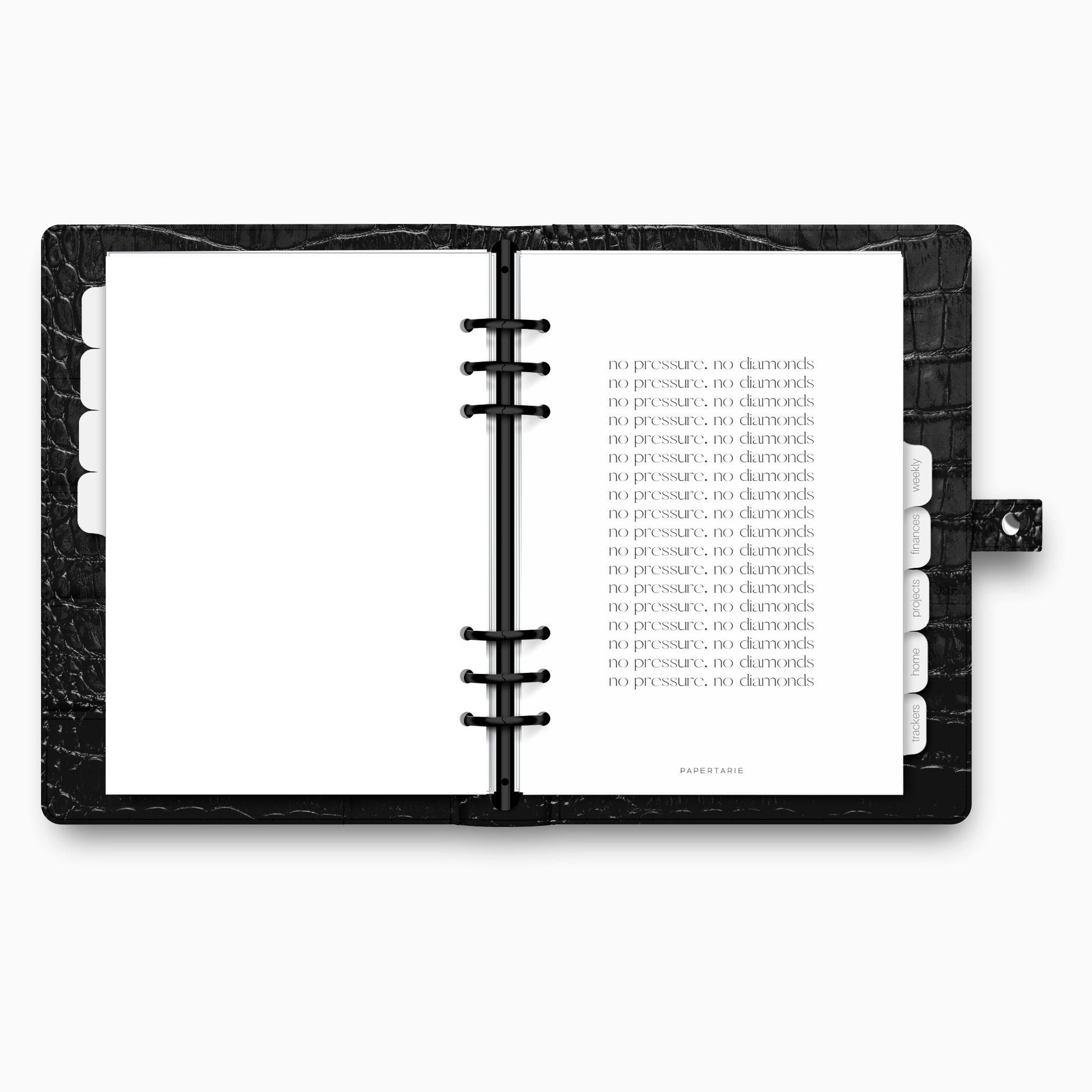 Planner Dashboard | Vellum | No Diamonds, No Pressure | A5, A6, Personal, Pocket | Minimal | Aesthetic